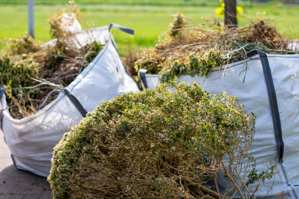 Best Estate Cleanout Services  in Shell Valley, ND